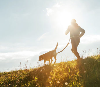 human running with dog 