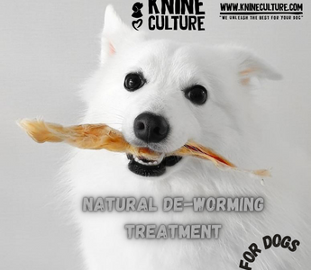 Best Natural De-Worming Treatments for Dogs - k9culture