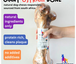 Premium Ostrich Bone