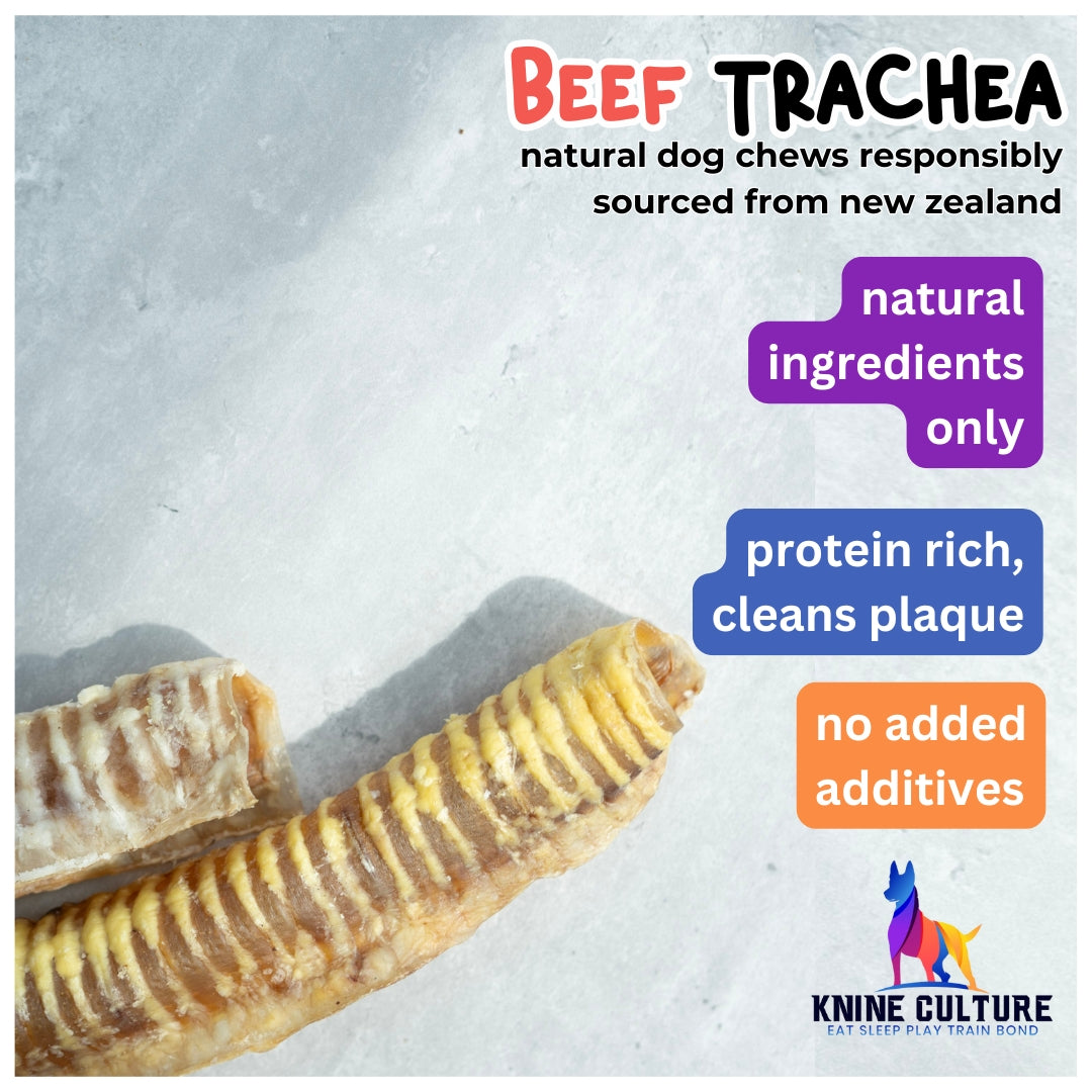 Beef Air Pipe (Trachea)