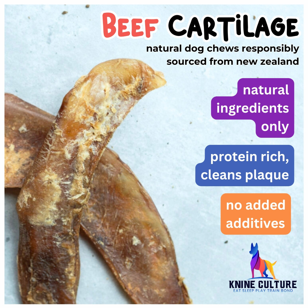 Beef Cartilage