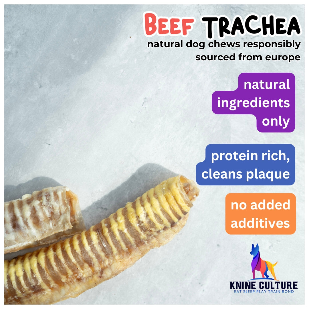 Beef Air Pipe (Trachea)