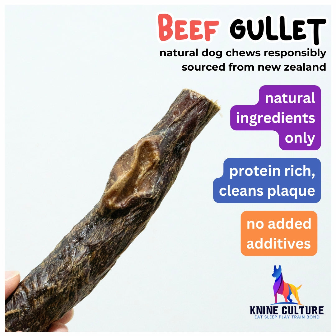 Beef Gullet Sticks ( Natural Dental Chews) (4pc Pack)